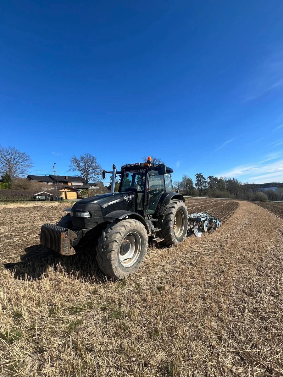 Svart Case IH 185-traktor med harv på jorde i vårsol